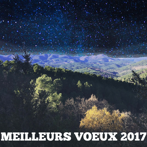 2017Voeux